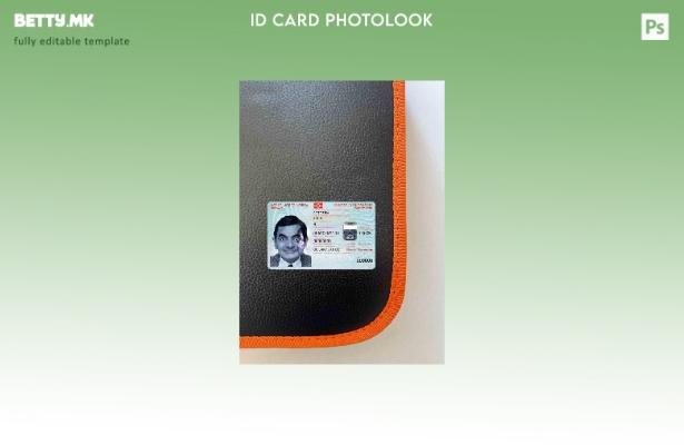 модерен стил Норвешка ID photolook ПРЕДЕН шаблон